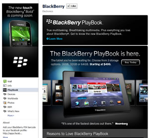 Blackberry Facebook Fan Page | Jabari Holder